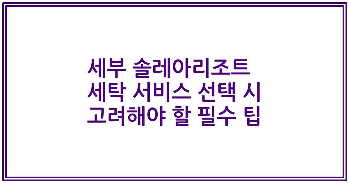 세부 솔레아리조트 세탁 서비스 선택 시 고려해야 할 필수 팁